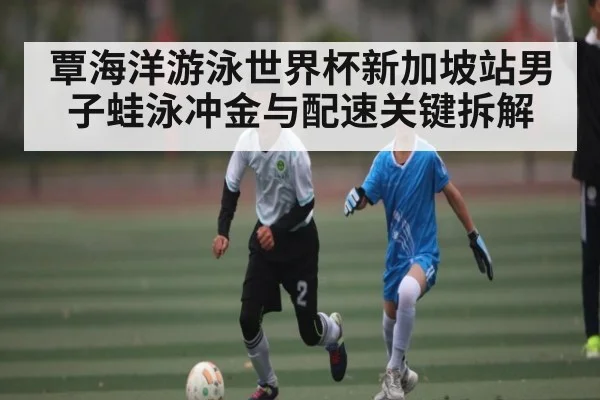 覃海洋游泳世界杯新加坡站男子蛙泳冲金与配速关键拆解 - kaiyun